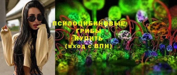 гашик Алексеевка