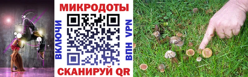 кракен сайт  Щёлкино  Псилоцибиновые грибы Psilocybine cubensis 